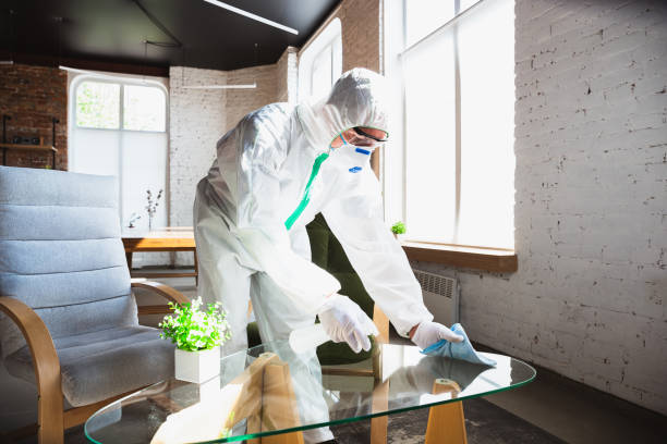 Asbestos and Lead Testing During Mold Inspection